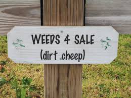 A white sign nailed to a wooden post that reads Weeds 4 Sale (dirt cheep)